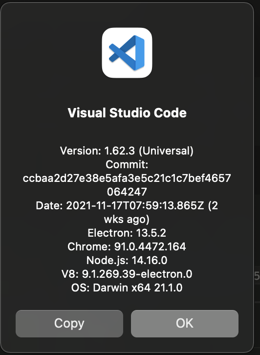 vscode information